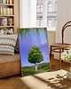 plakaty Plakat Drzewo 2
