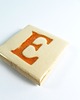 magnesy Ceramiczny magnes, pomarańczowa literka E 3