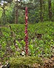 akcesoria do jogi Kadzidełka handmade Miłość w płatkach róży 3