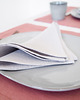 obrusy i serwetki Serwetka Lniana Heavy Linen Light Gray 2
