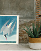 plakaty PLAKAT ptak w locie, vintage obraz, grafika 3