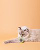 Zabawki dla zwierząt Awokado szydełkowe z kocimiętką MR AVOCADO 1