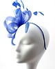fascynatory Camelia Blue 2