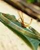 bransoletki wire wrapping Like (brass ) - grawer 1
