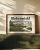plakaty Plakat Biebrzański Park Narodowy - Druk Pigmentowy 2
