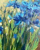 obrazy "Chabry" 30*50 obraz olejny 2