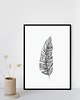 plakaty Plakat Botaniczny 1