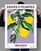 plakaty Plakat botaniczny "New Delhi" 1
