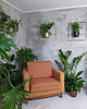 kwietniki Kwietnik Pilea+ czarny 4