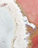 pojemniki na biżuterię Ceramiczna podstawka Flow5 3