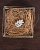 broszki Broszka srebrny liść jesionu (mała) 4