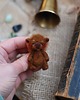 broszki Brązowy Miś- broszka 1