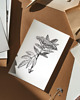 grafiki i ilustracje PLAKAT szkic botaniczny, polne kwiaty grafika, rycina zioła 1