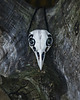 wisiory Wisior Czaszka Ptaka - Tyto Alba - Hematytowe oczy 2