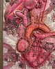 obrazy Obraz haftowany serce anatomiczne i dłoń 3 D. 8