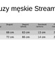 bluzy męskie Bluza STREAMER czarna z nadrukiem 2