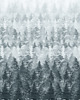 kurtki damskie Kurtka parka damska - LAS OMBRE 1