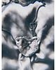 wisiory Amulet CRYSTAL WITCH 1
