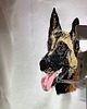 t-shirt damskie Koszulka Malinois T-shirt z haftem psa Prezent dla psiarza 2