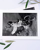 fotografia Fotografia z passe-partout; Królowa Koła 2