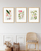 grafiki i ilustracje PLAKATY  botaniczne vintage ryciny kwiaty 8