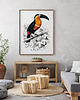 plakaty Plakat Tukan vintage 2
