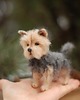 figurki i rzeźby York Terrier Miniaturka 2