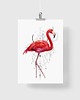 plakaty Plakat Flamingo 5