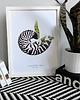 grafiki i ilustracje NAUTILUS A3 1