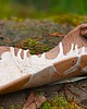 patery i talerze Patera ,,Kurinuki" - oryginalna i ozdobna 3