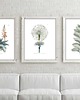 plakaty ALOES  ZIELNIK plakat  A4, A3, 30X40cm 1