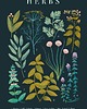 plakaty Plakat botaniczny "Herbs" 30x40 6