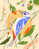 plakaty Plakat Woodpecker 1