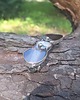 spinki i klamry do włosów Agaty - klamra do włosów 1