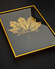 grafiki i ilustracje Plakat Złoty Liść Klonu. Monotypia Botaniczna. Złota Rama Alu 20x30 cm 1
