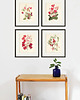 grafiki i ilustracje Zestaw Grafik Botanicznych Vintage 7