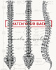 plakaty Plakat anatomiczny WATCH YOUR BACK 2