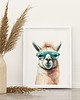 obrazy i plakaty do pokoju dziecięcego Plakat Lama w okularach P338 2