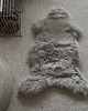 dywany Skóra owcza naturalna Taupe rozmiar XL 110-120cm dywan naturalny 5