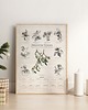 kalendarze i plannery Botaniczny kalendarz wiszący. Naturalnie DRZEWA. 4