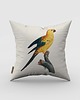 poduszki z grafiką Poduszka - Papuga Sun Parakeet 3