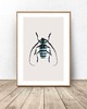 plakaty Plakat na ścianę z niebieskim żukiem 50x70 (500mm x 700mm) 1