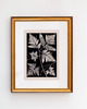 grafiki i ilustracje Ilustracje botaniczne paproć vintage 4