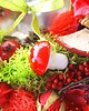 świeczniki i świece Świecznik wiosenny czerwony, żywy, mały naturalny 4