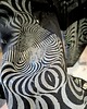 legginsy Getry hypno sylwestrowo karnawałowe 3