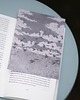 grafiki i ilustracje Print A6 Ptaki 2