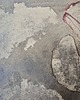 grafiki i ilustracje Aurelia Aurita 3 / 7/ 26 / akwarela 1