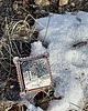 broszki Miedziana Broszka z Malowanym Nokturnem 2