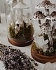 figurki i rzeźby Dekoracja z grzybami - szklany klosz kopułka z Kaniami 3