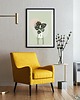 plakaty Plakat monstera 30x40 2
